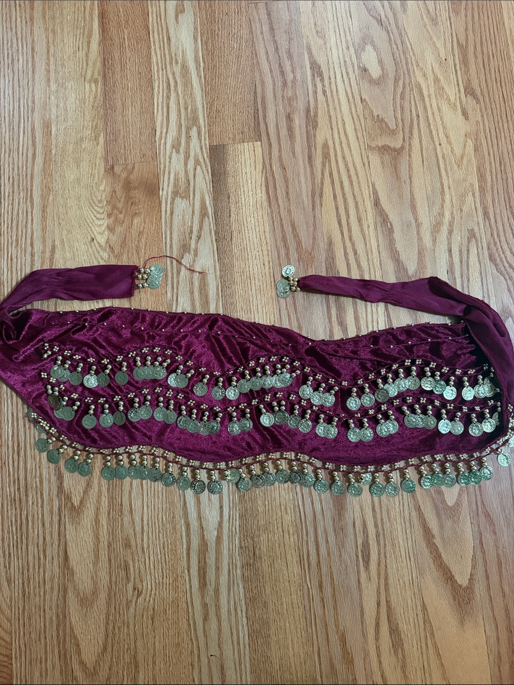 Burgundy Coin Belly Dance Hip Scarf